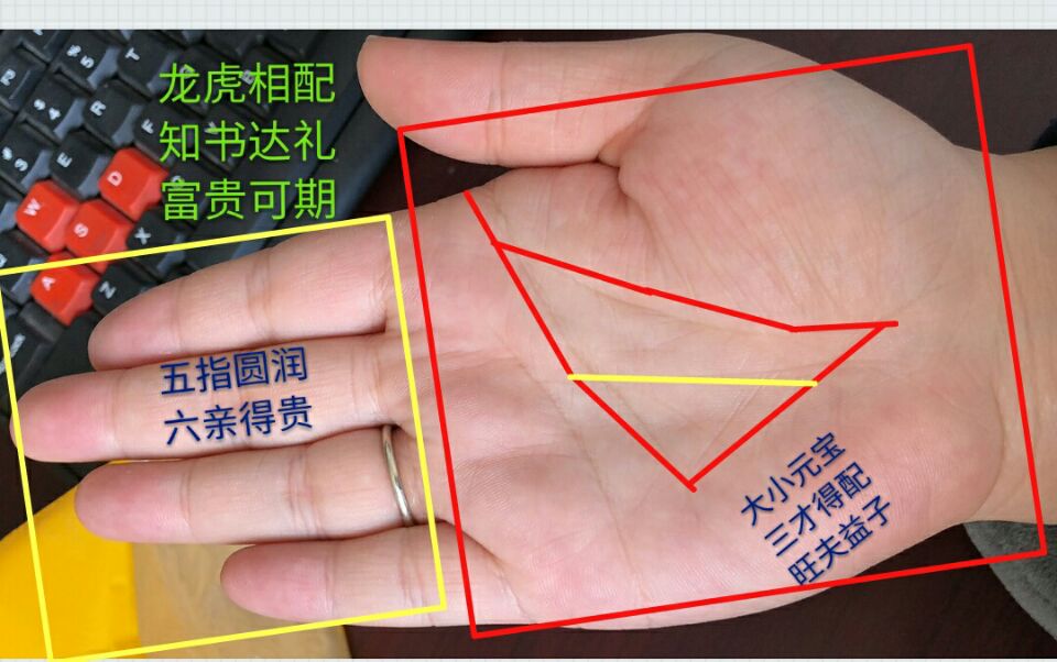 y纹什么意思(y纹的种类) - 风集网