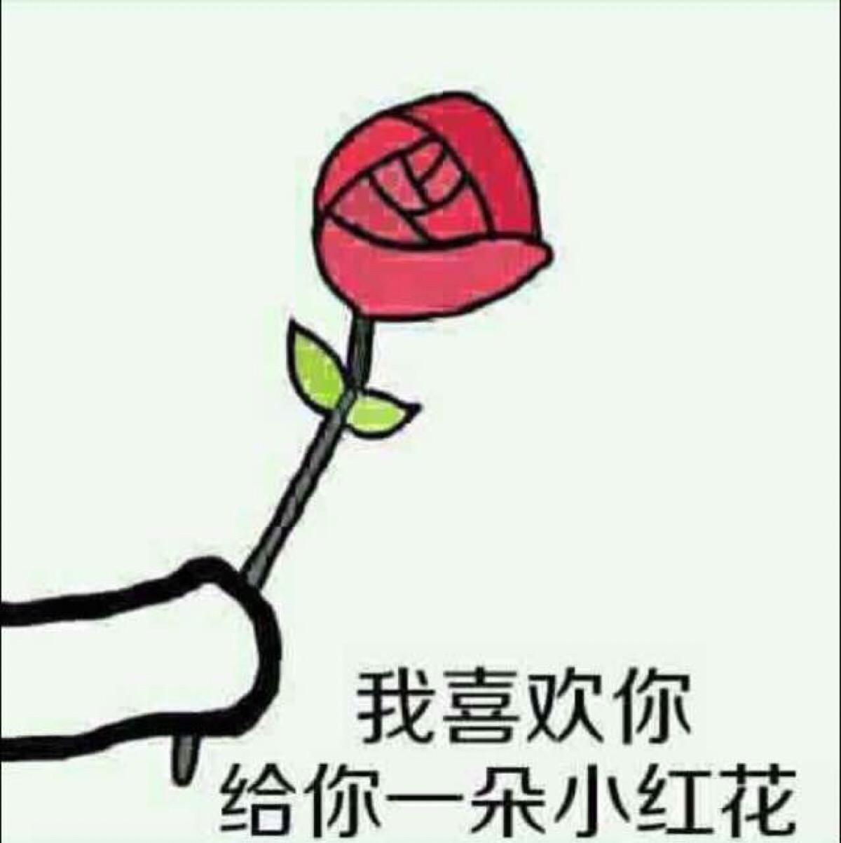 如何向自己喜欢的女孩子表白?