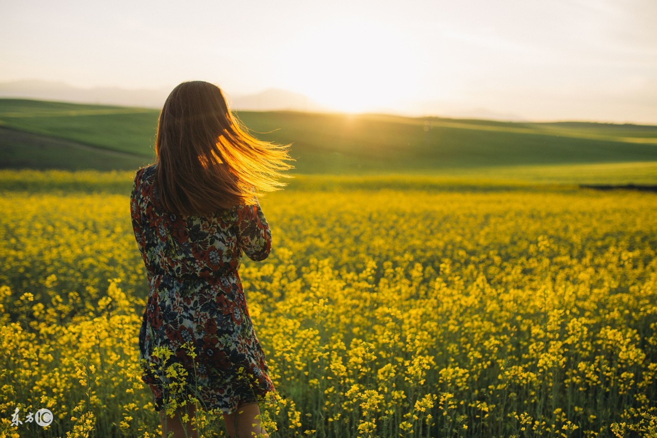 2021年农历八月属鼠运势 财运佳事业顺心_达一风水网