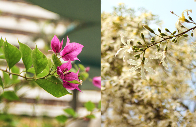 多谢华师，生日有你的祝福很暖心
