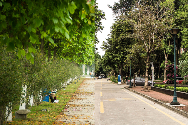 多谢华师，生日有你的祝福很暖心