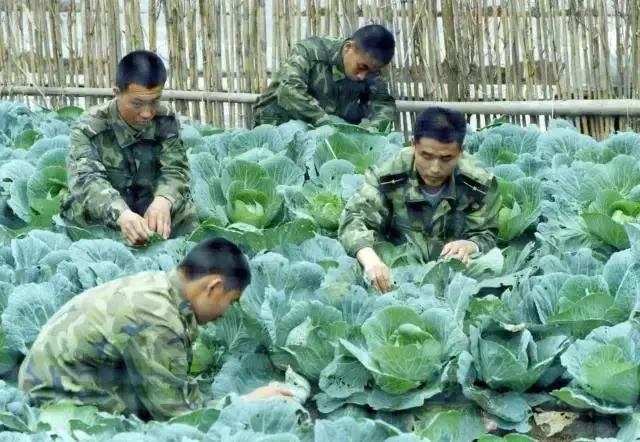 东南第一哨：岛是海的眼，兵是岛的眸