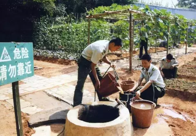 东南第一哨：岛是海的眼，兵是岛的眸