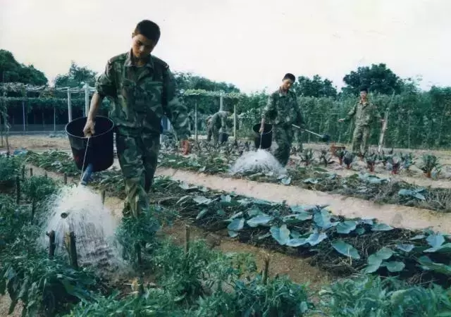 东南第一哨：岛是海的眼，兵是岛的眸