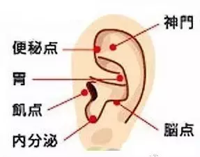 耳朵揉到痛点可能是疾病征兆（附耳朵按摩方法）