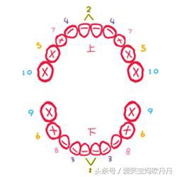 科普帖：小宝宝长牙的时间和顺序，以前护理时需要注意的6个方面