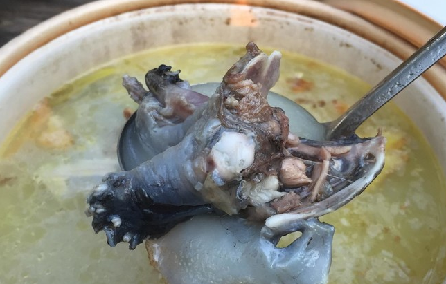 来一碗养身滋补的甲鱼汤，冬天补出好身体