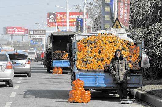 褚橙又上市了，它真的好吃吗？你今年会买吗？