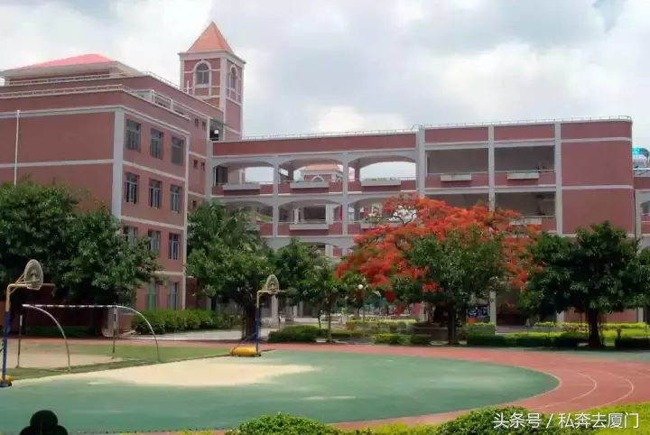 厦门10大贵族小学曝光！最贵18万！我只配给孩子拎包……