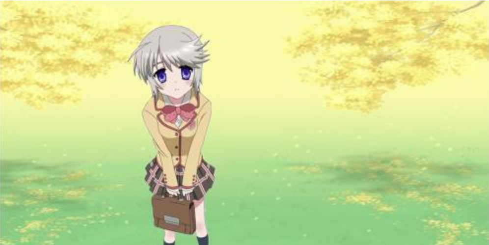 盘点，十大后宫系动漫，卖肉专业户，一次看个够，求关注（六期）