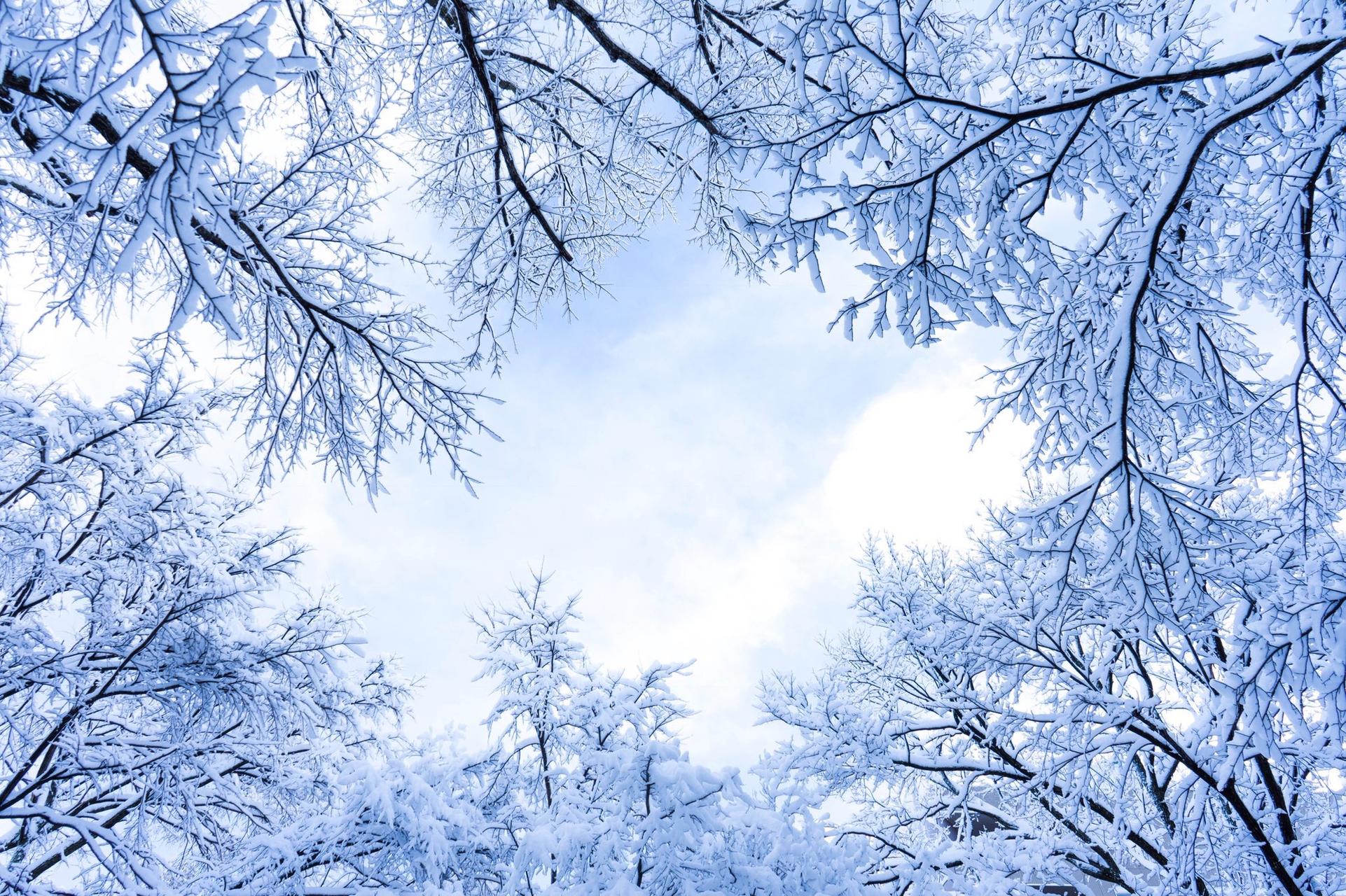 寒冬臘月的霧凇和大雪更加美麗,九句名言請你欣賞