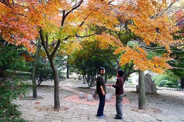 中国海洋大学的特色专业有哪些？将来就业前景怎么样？