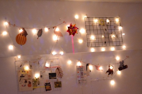 你所不知道的郑大寝室的秘密