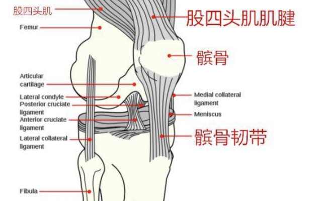 nba哪些篮球明星断了筋腱(莱昂纳德三大神秘伤病已毁六人职业生涯，扣篮王陨落闪电控卫降速)