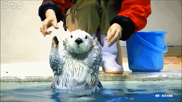 「汉化」《死亡点-Death Point》