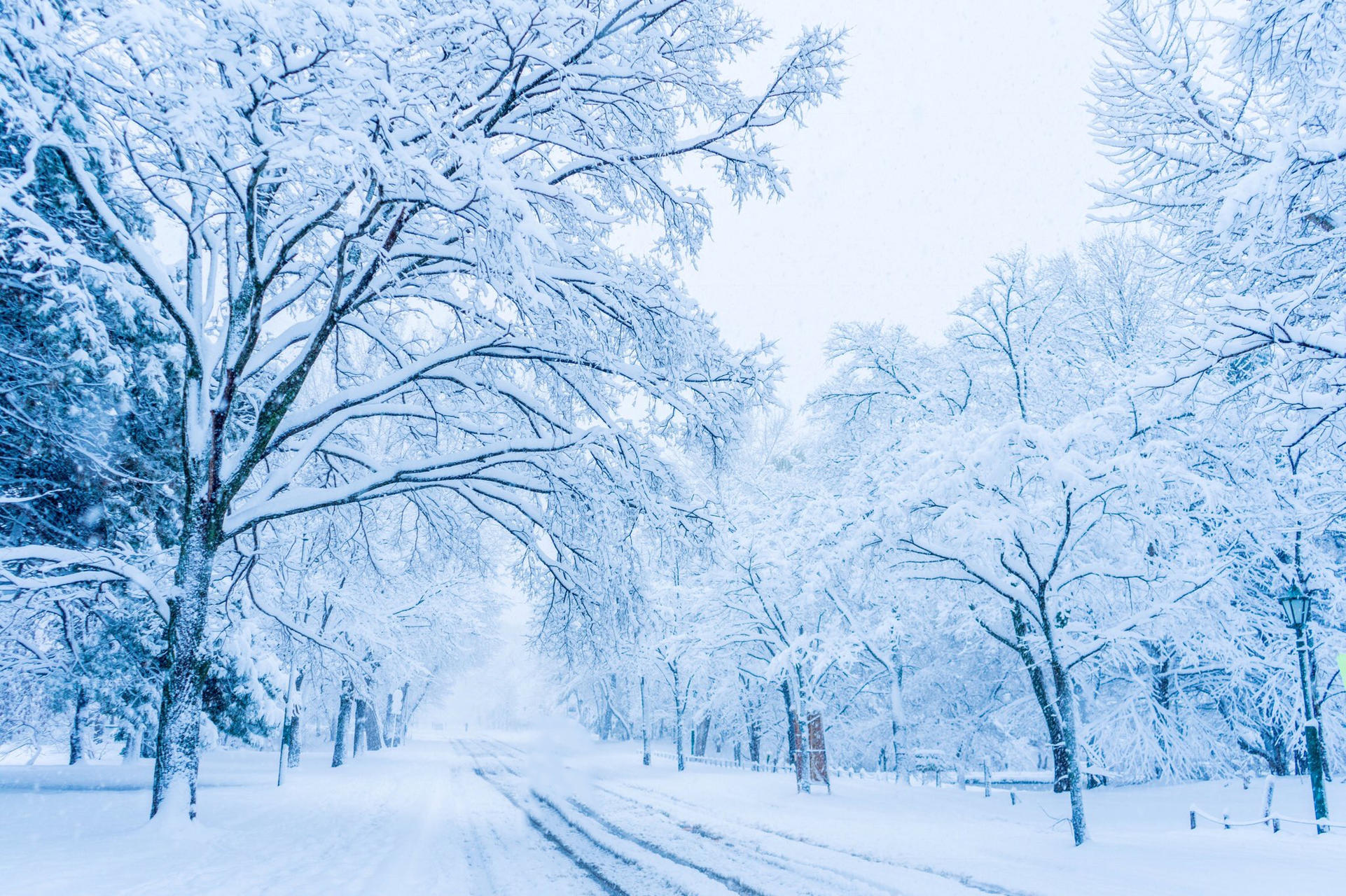 寒冬腊月的雾凇和大雪更加美丽,九句名言请你欣赏