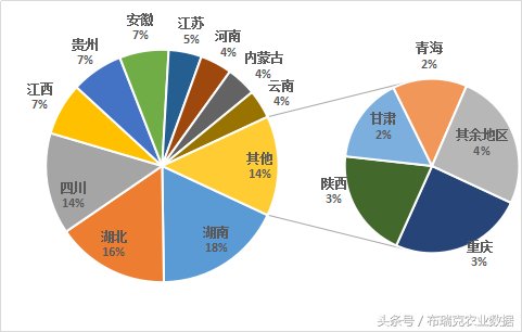 油菜籽产地,我国最大的油菜籽产地