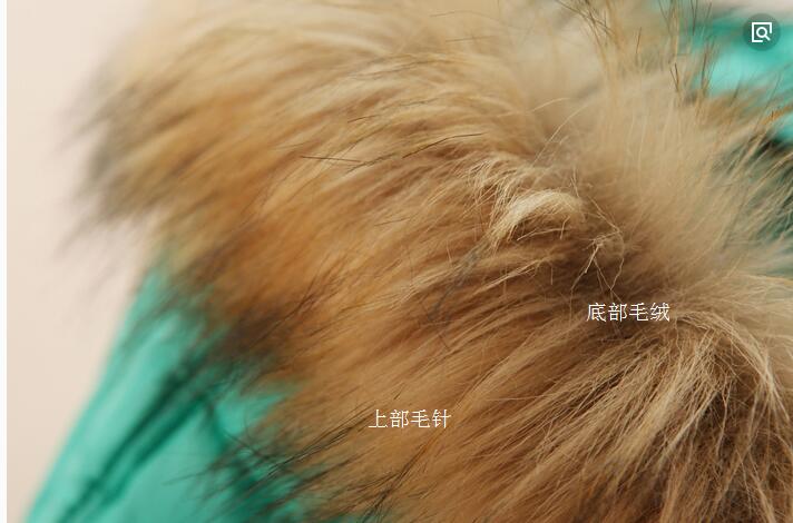 你衣服上的毛领是真的么，买的值不值？教你识别毛领的真假贵贱！