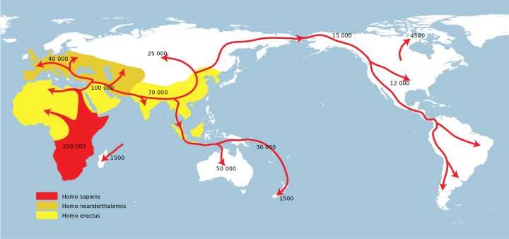 世界文明史·人类的起源、进化、迁徙