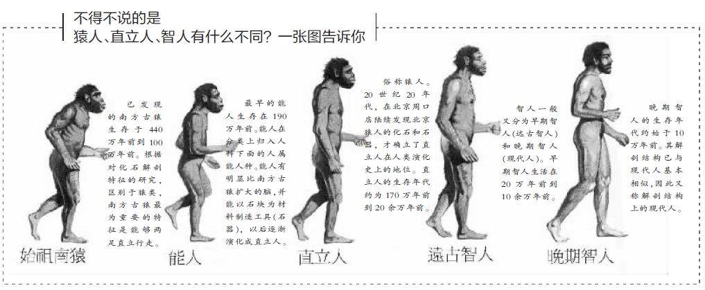 世界文明史·人类的起源、进化、迁徙