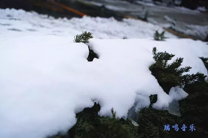 十二月你好，冬天是唯美的诗 | 新专辑预报