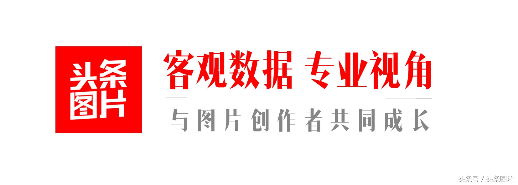 连州国际摄影年展今开幕，去不去得了现场，都来头条看展吧！