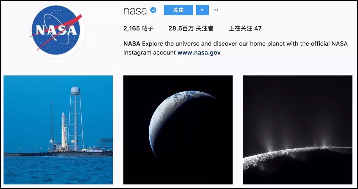 如果说 NASA 是一个独特的潮流品牌，似乎也不为过