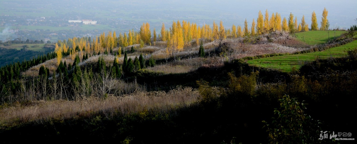 青山绿水就是金山银山 身边的美景