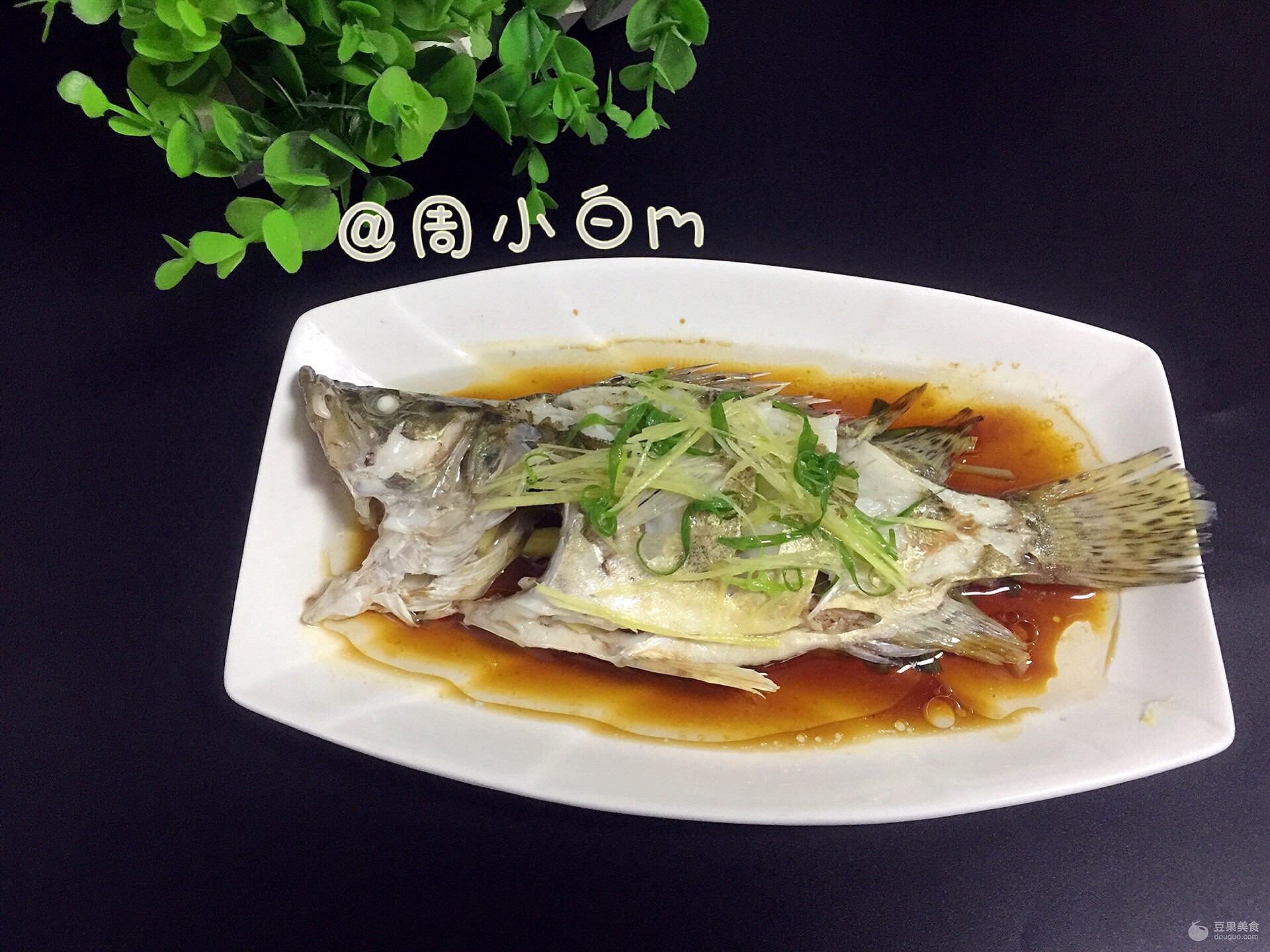 清蒸桂魚,清蒸桂魚的做法