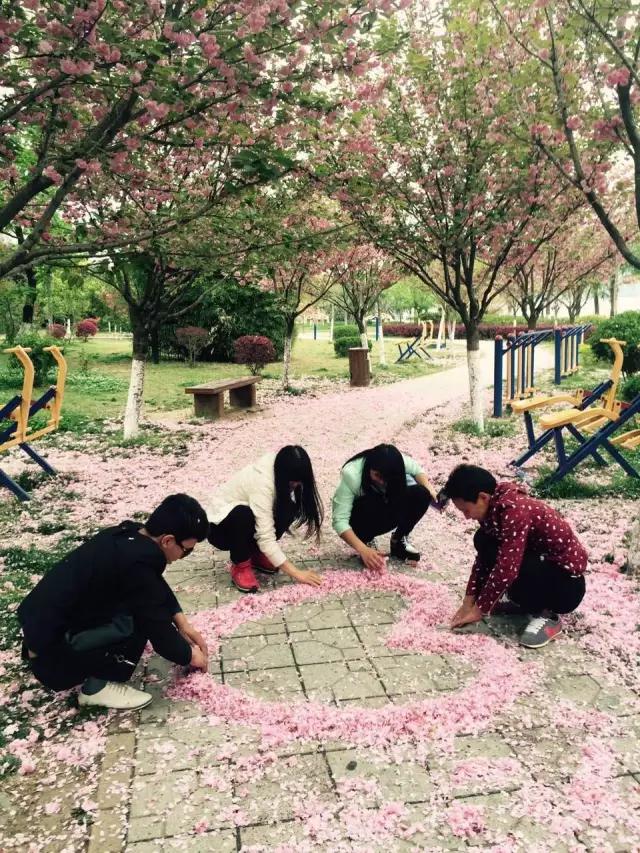 《落红不是无情物》