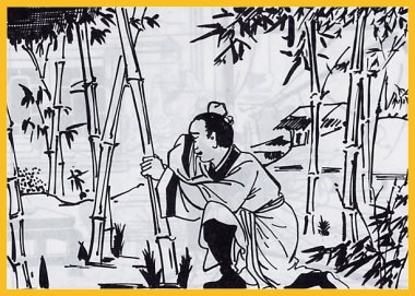 乌鸦反哺、羊羔跪乳和二十四孝的故事