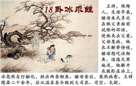 乌鸦反哺、羊羔跪乳和二十四孝的故事