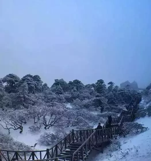 『诗词赏析』：山窗寒夜时，听雪洒竹林《名山胜景美雪图请珍藏》