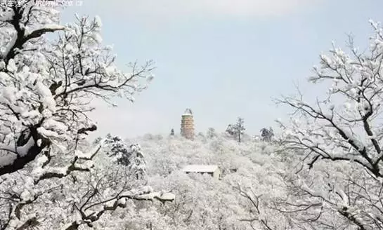 『诗词赏析』：山窗寒夜时，听雪洒竹林《名山胜景美雪图请珍藏》