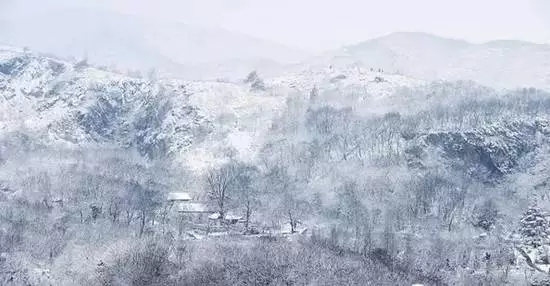 『诗词赏析』：山窗寒夜时，听雪洒竹林《名山胜景美雪图请珍藏》