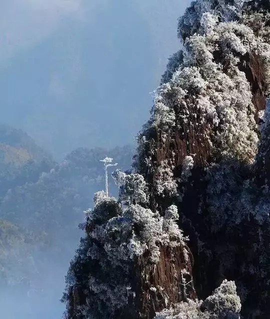 『诗词赏析』：山窗寒夜时，听雪洒竹林《名山胜景美雪图请珍藏》