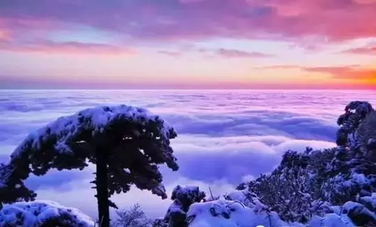 『诗词赏析』：山窗寒夜时，听雪洒竹林《名山胜景美雪图请珍藏》