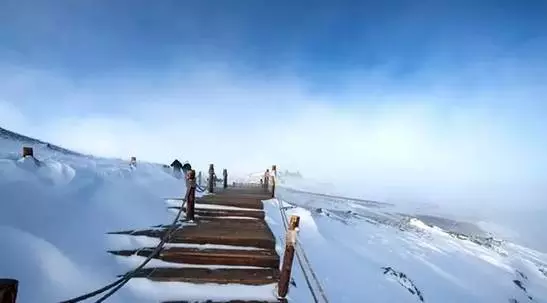 『诗词赏析』：山窗寒夜时，听雪洒竹林《名山胜景美雪图请珍藏》