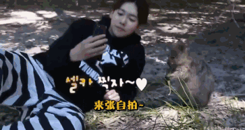 每季都是9分，而且一季比一季好看，韩国这部神级综艺下饭必备