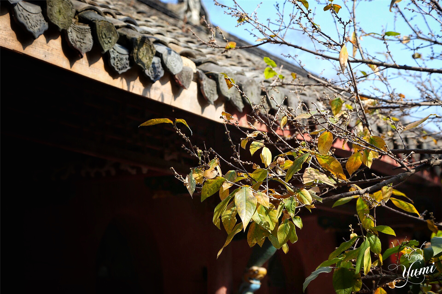 琅琊山这个被称为皖东明珠的地方，究竟有多美引得无数文人称赞？