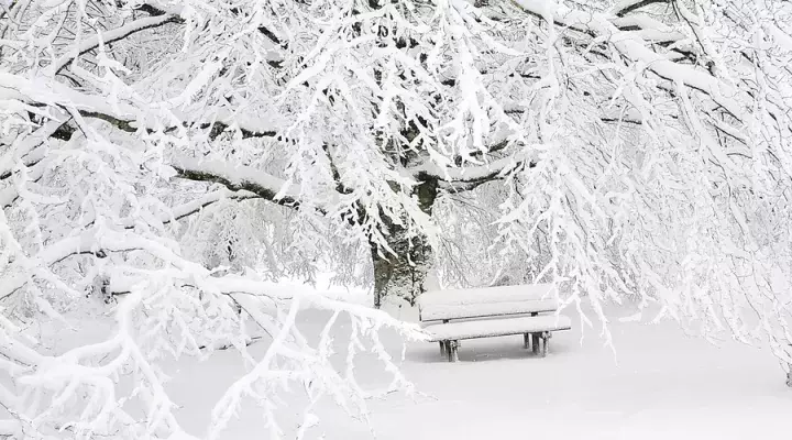 10首诗词中的雪景：晚来天欲雪，能饮一杯无？