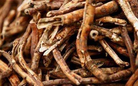 丹皮的功效与作用 丹皮生地的功效与作用-伙伴百科