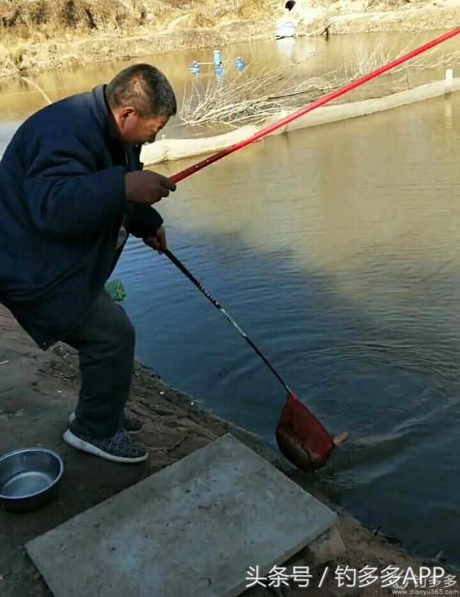 野钓无鱼黑坑解毒，爆口抽竿有惊喜