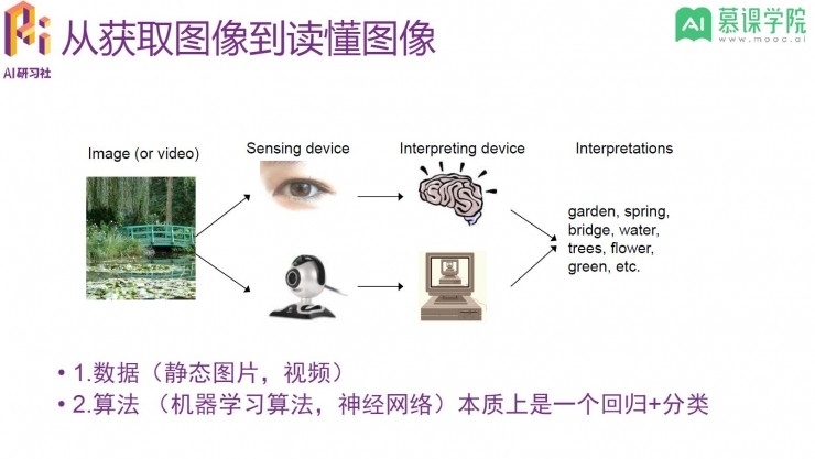 算法到实战，如何零基础入门计算机视觉领域