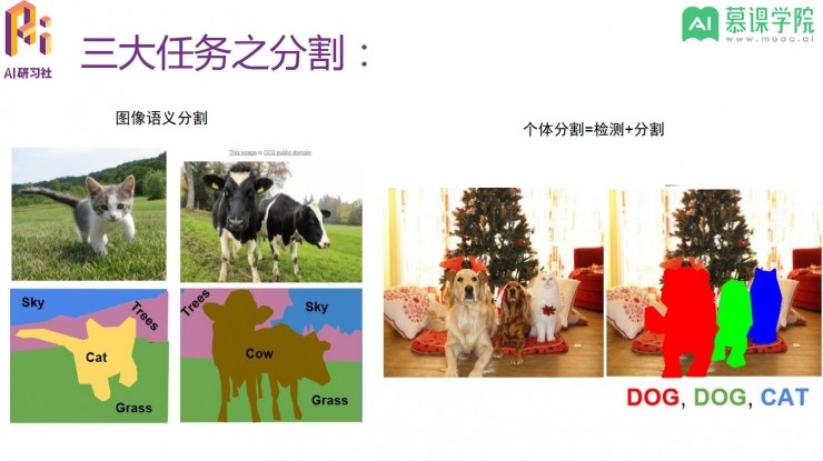 算法到实战，如何零基础入门计算机视觉领域