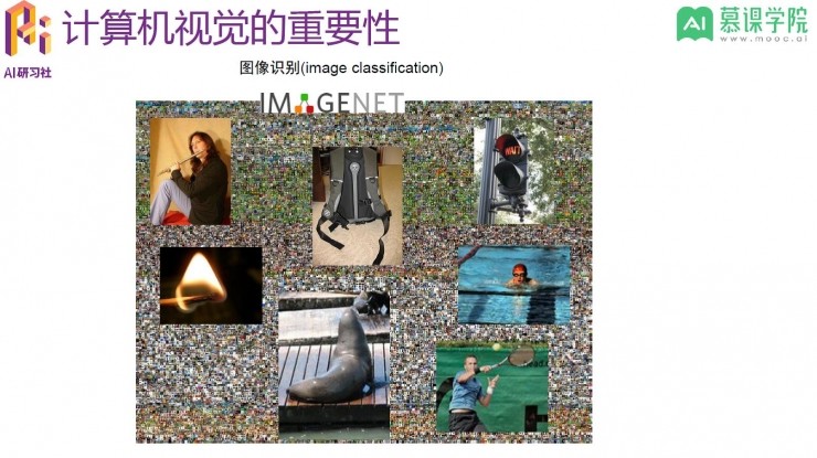 算法到实战，如何零基础入门计算机视觉领域