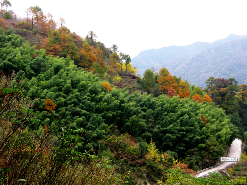 探访茅镬古村 四明山游