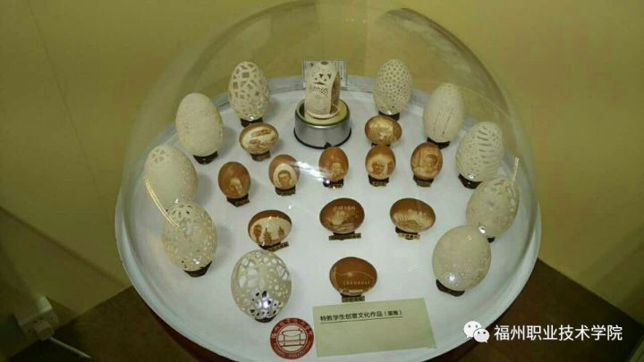 福州职业技术学院，这下要在全国出名了！
