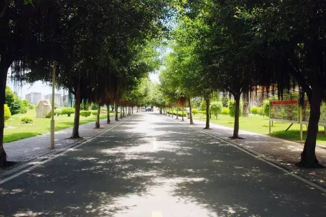 福州职业技术学院，这下要在全国出名了！