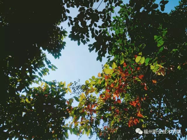福州职业技术学院，这下要在全国出名了！